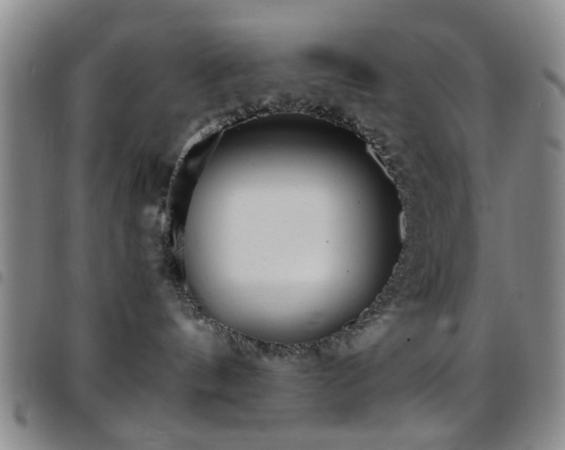 X0000097900144200803141403