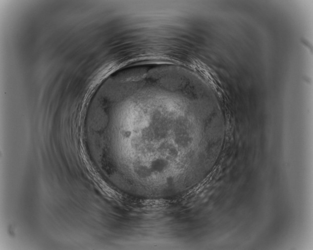 X0000097900145200803141402