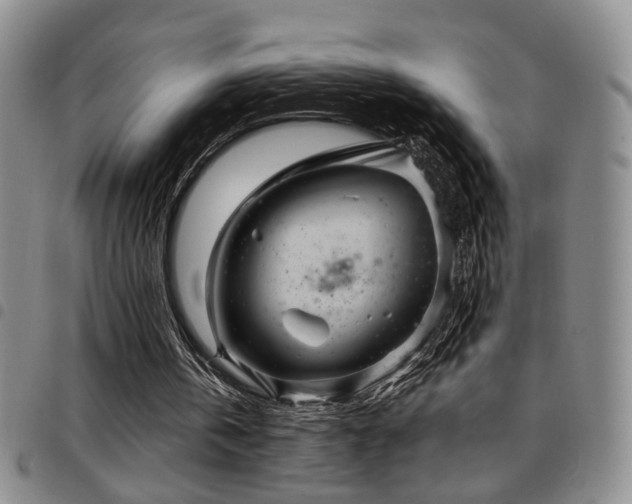 X0000097900146200803141402