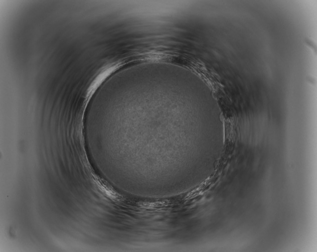 X0000097900147200803141402