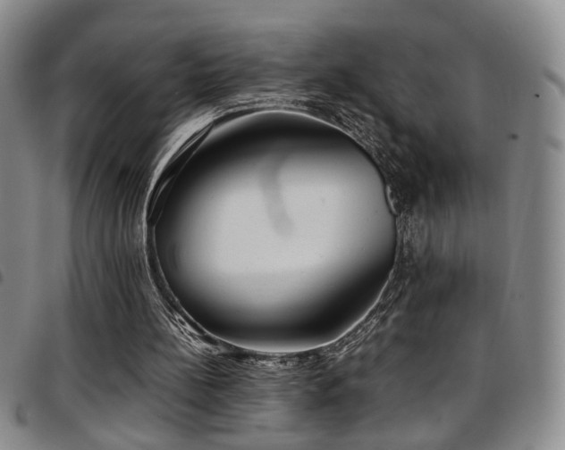 X0000097900148200803141402