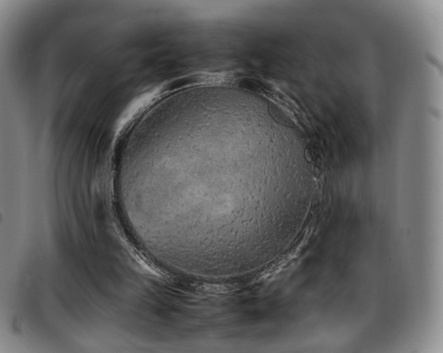 X0000097900149200803141402