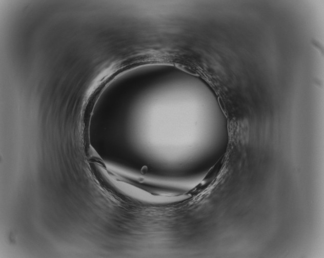 X0000097900150200803141402