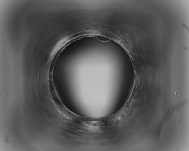 X0000097900151200803141402