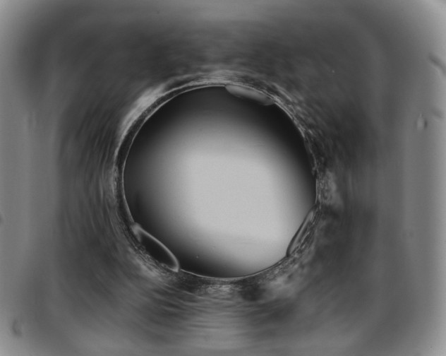 X0000097900152200803141402