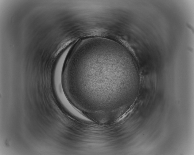 X0000097900154200803141402