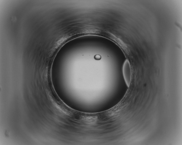 X0000097900155200803141402