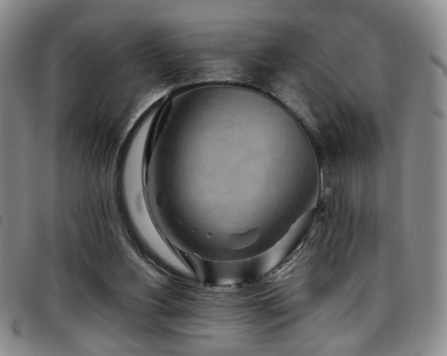 X0000097900156200803141402