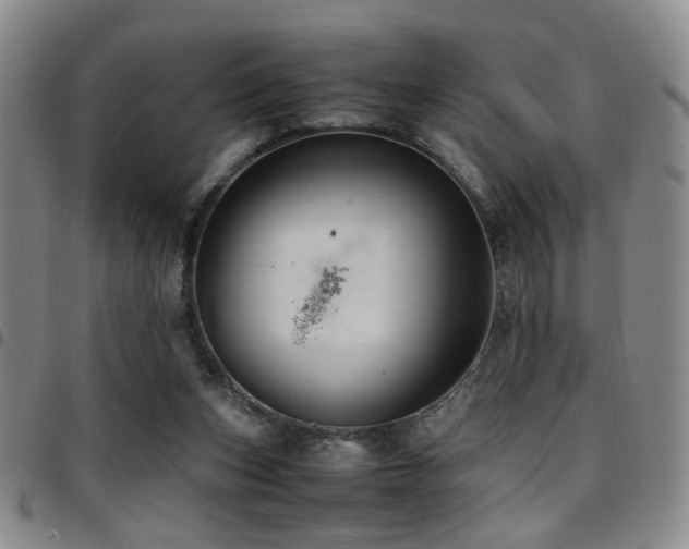 X0000097900159200803141402