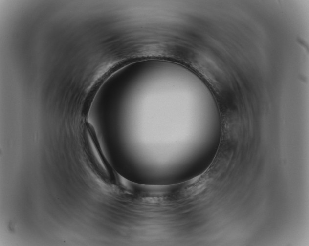 X0000097900160200803141402