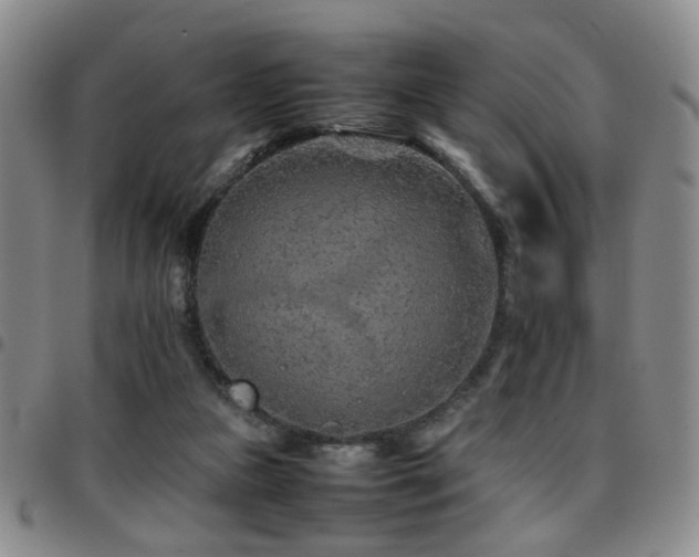 X0000097900161200803141402