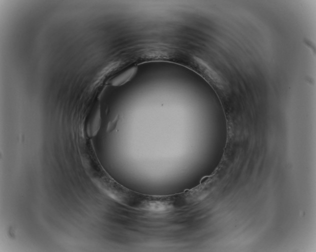 X0000097900163200803141402