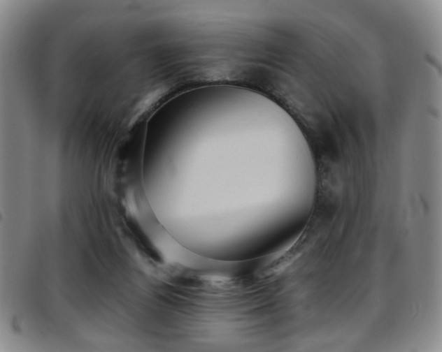 X0000097900164200803141402