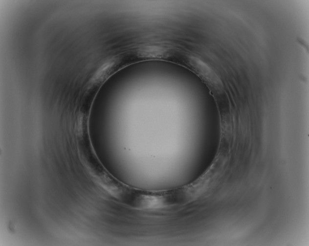 X0000097900167200803141402