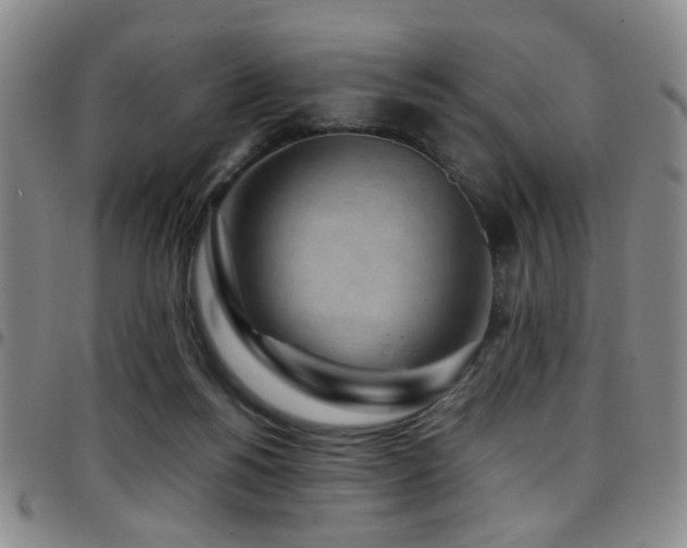 X0000097900168200803141402