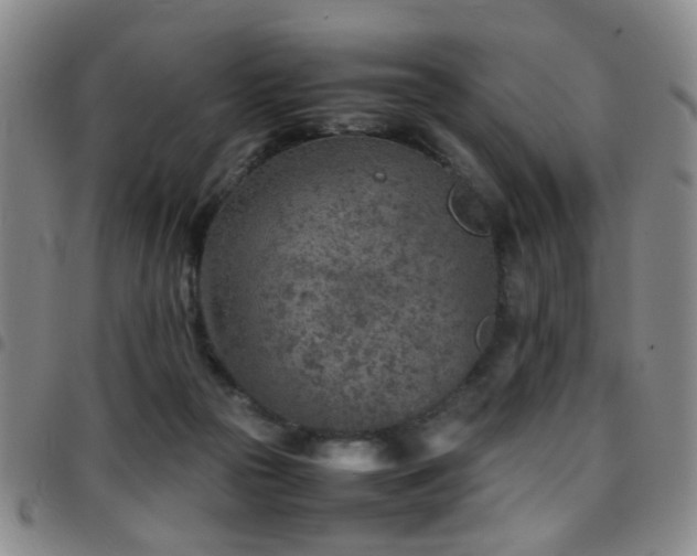 X0000097900169200803141402