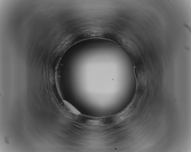 X0000097900170200803141402