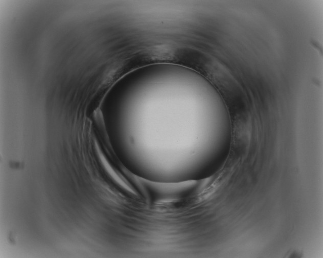 X0000097900172200803141402