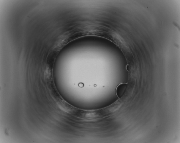 X0000097900173200803141402