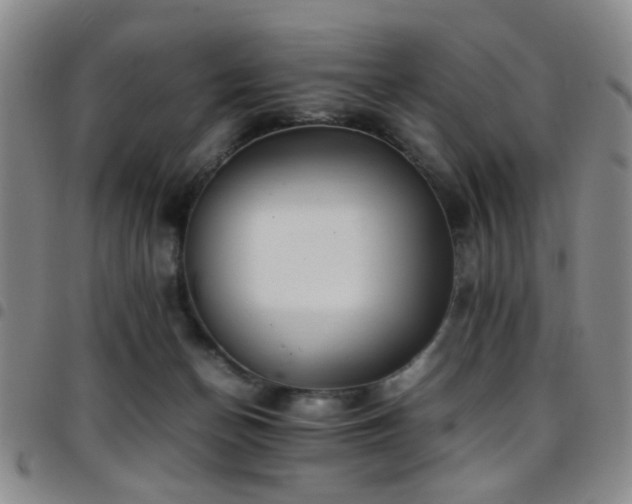 X0000097900174200803141402