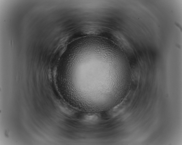 X0000097900175200803141402