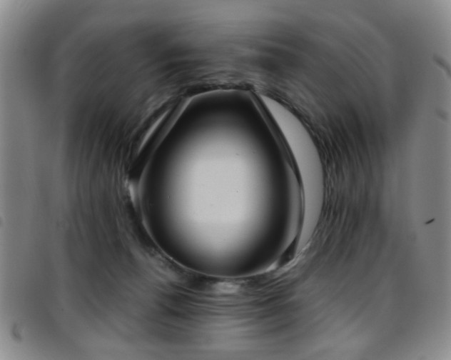 X0000097900176200803141402