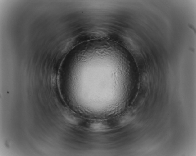 X0000097900177200803141402