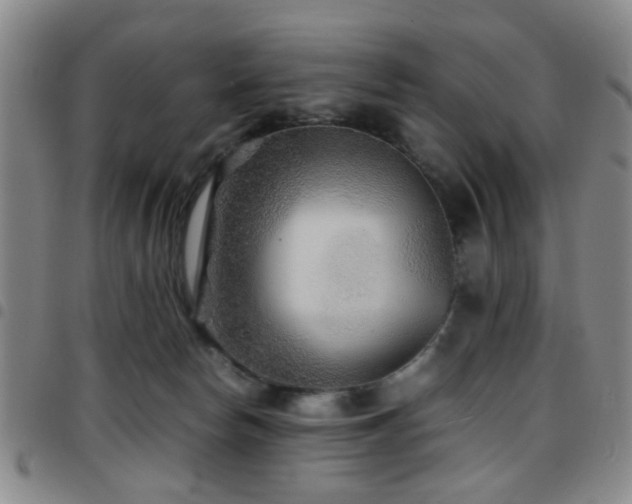 X0000097900178200803141402