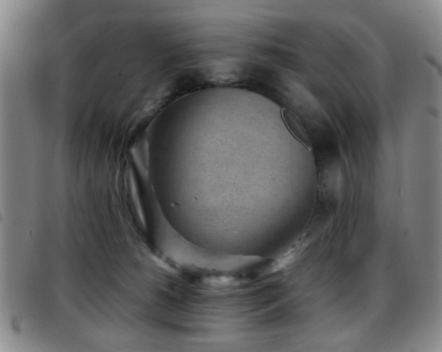 X0000097900180200803141402