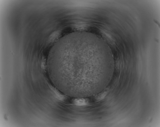 X0000097900181200803141402