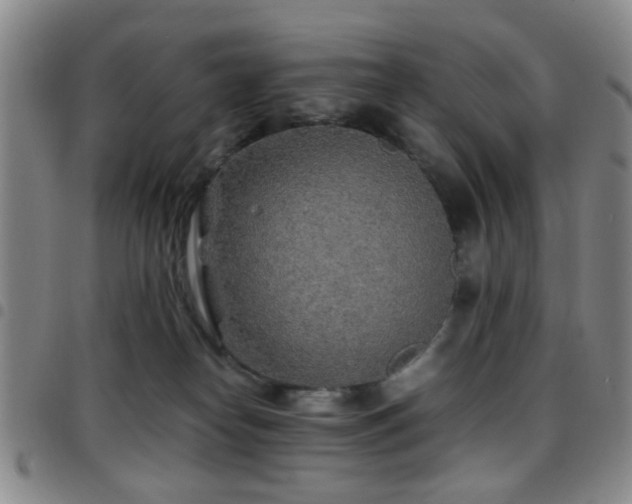 X0000097900182200803141402