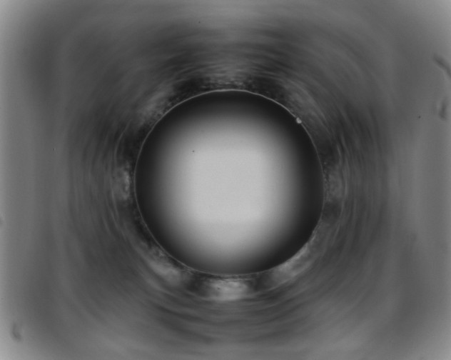 X0000097900183200803141402