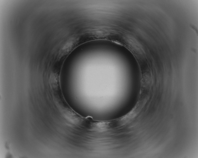 X0000097900184200803141402