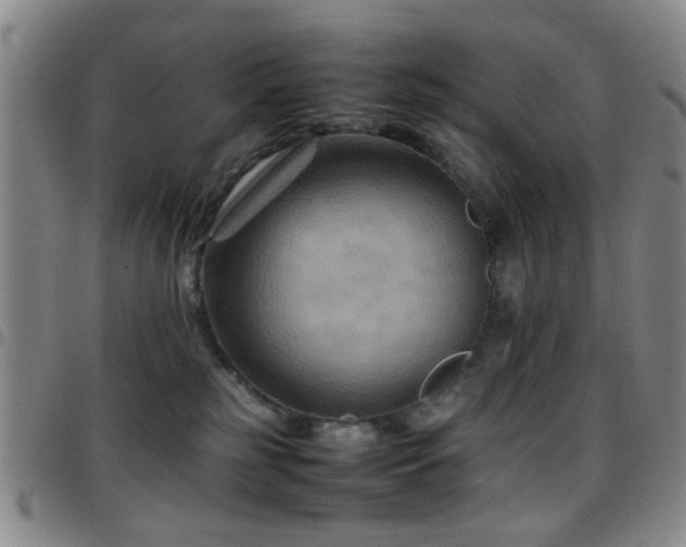 X0000097900185200803141402