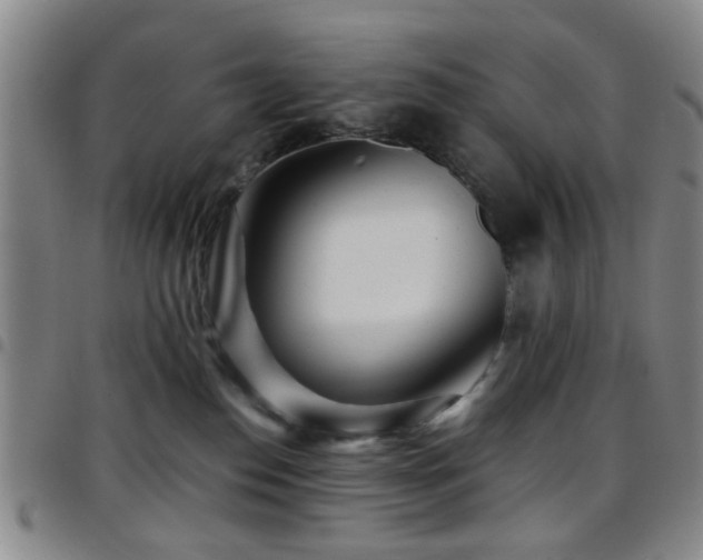 X0000097900186200803141402