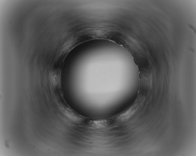 X0000097900188200803141403