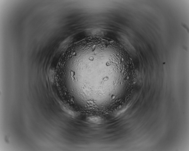 X0000097900189200803141403