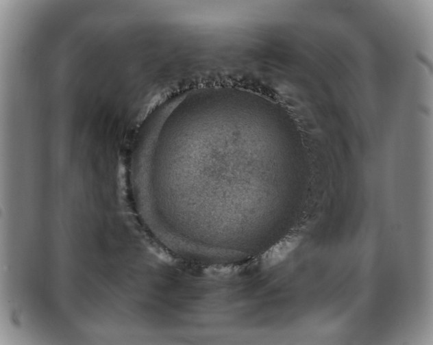 X0000097900192200803141403