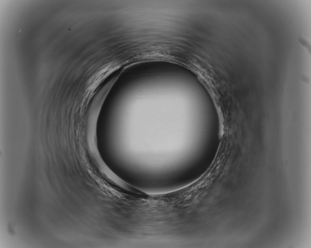 X0000097900193200803141402