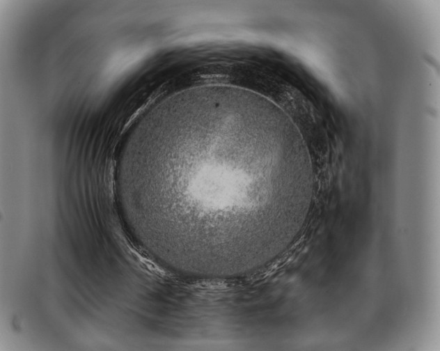 X0000097900194200803141402