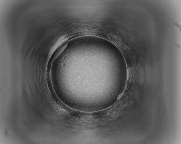 X0000097900195200803141402