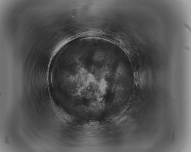 X0000097900196200803141402