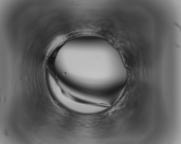 X0000097900197200803141402