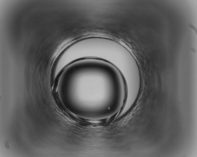 X0000097900199200803141402