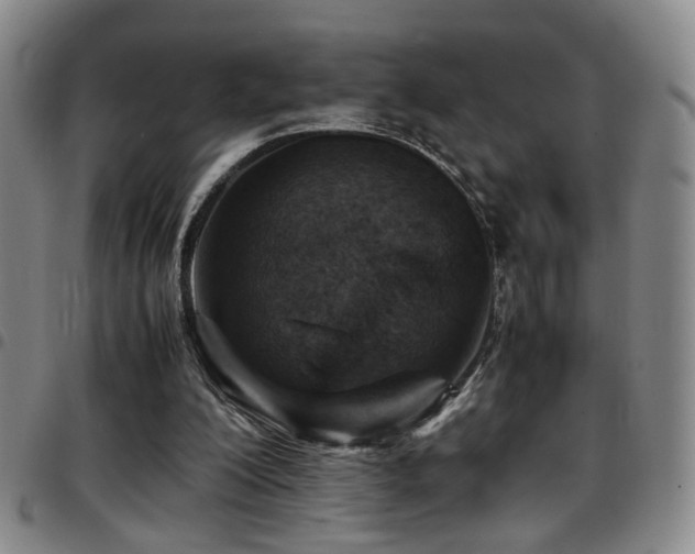 X0000097900200200803141402