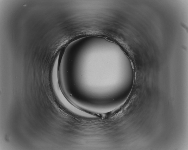 X0000097900201200803141402