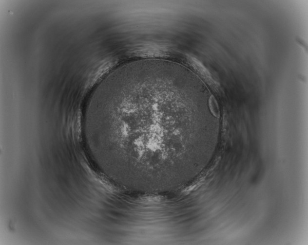 X0000097900202200803141402