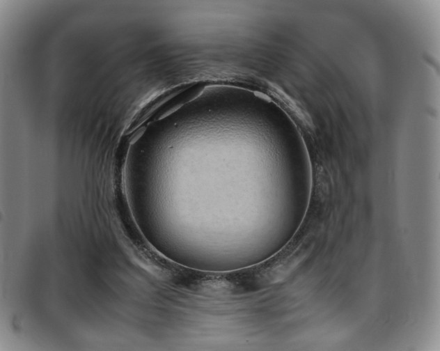 X0000097900203200803141402