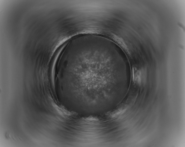 X0000097900204200803141402