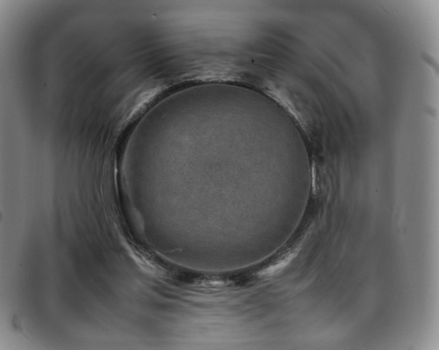 X0000097900205200803141402